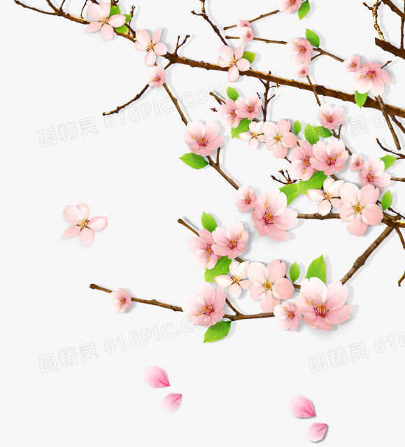 春天绿意桃花桃树枝