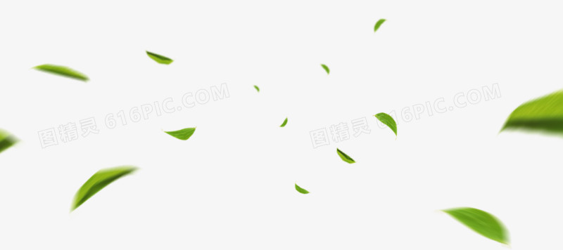 树叶图案