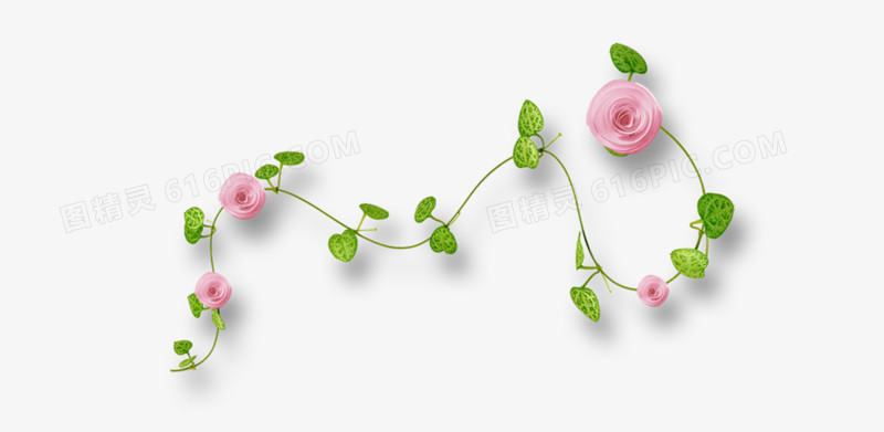 蔷薇花图片免费下载_png素材_编号1pki26kjz_图精灵