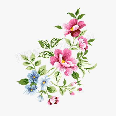 植物花朵