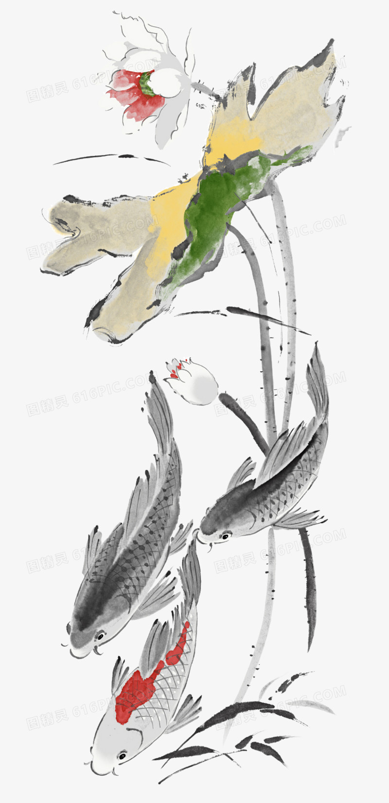 古典图案卡通中国风图片 鲤鱼 荷花