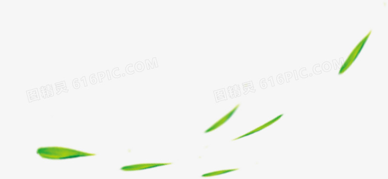包粽子绿色漂浮叶子