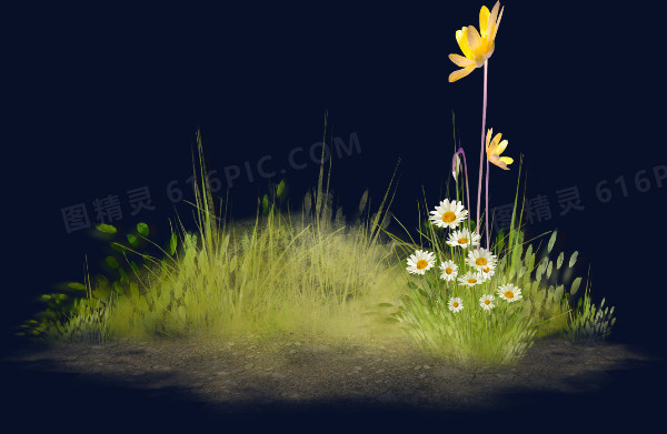 草丛 白色小花 黄色花朵 png素材