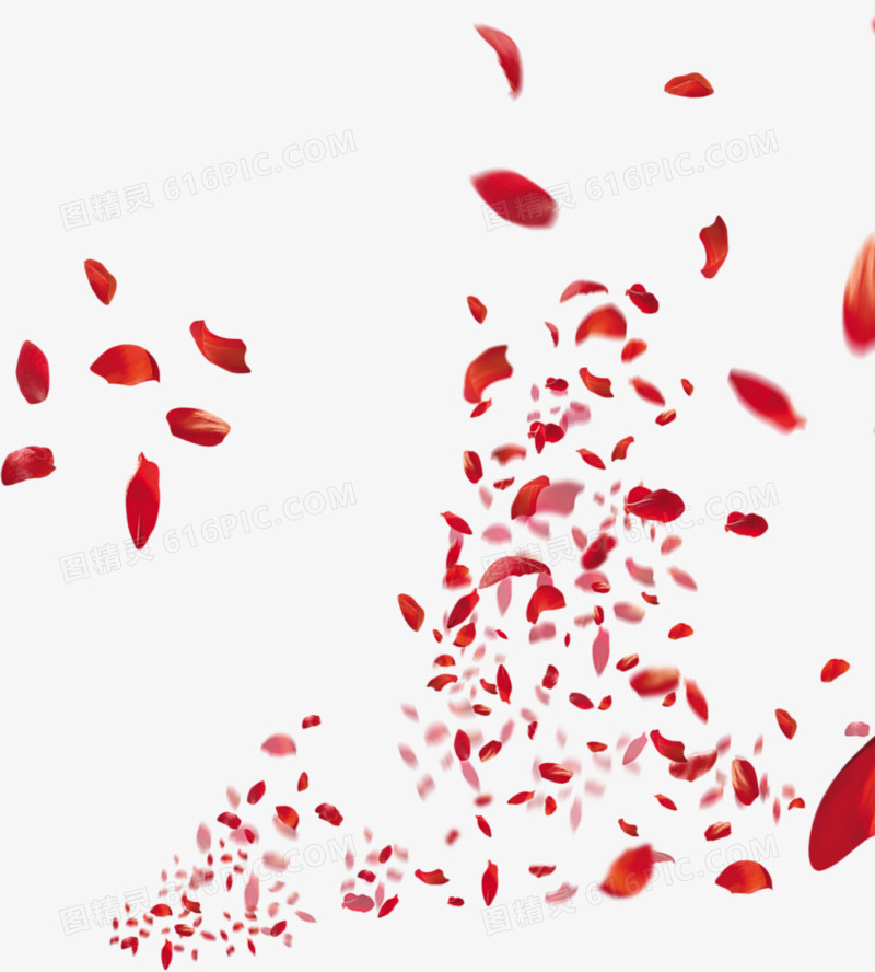 红色漂浮玫瑰花瓣装饰