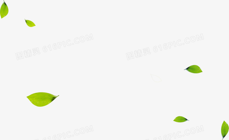绿色春天漂浮设计卡通树叶
