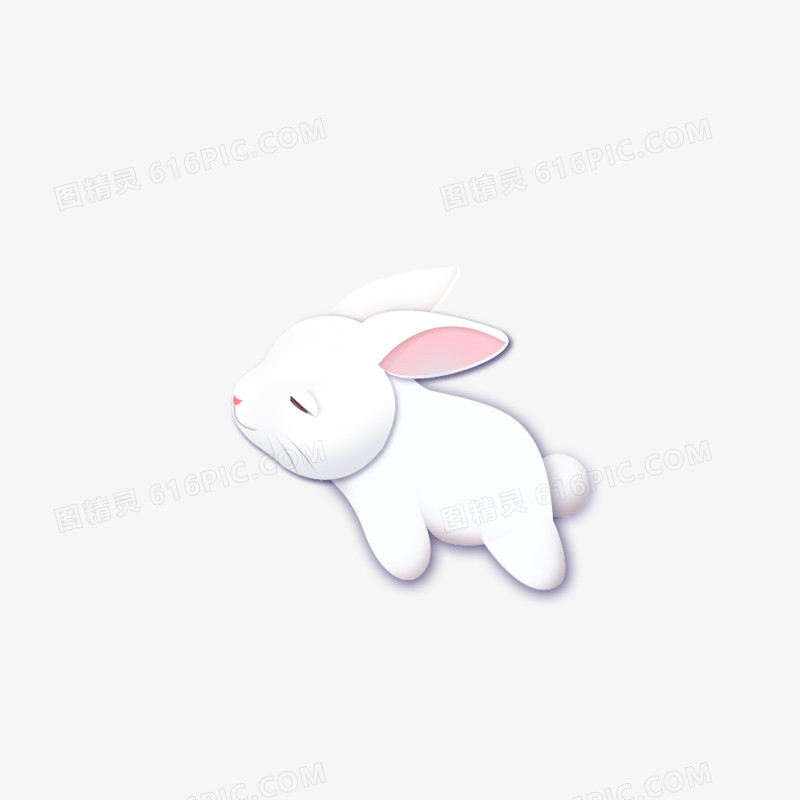 玉兔兔子