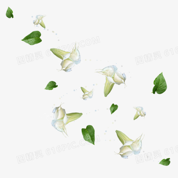 飞舞白花绿叶