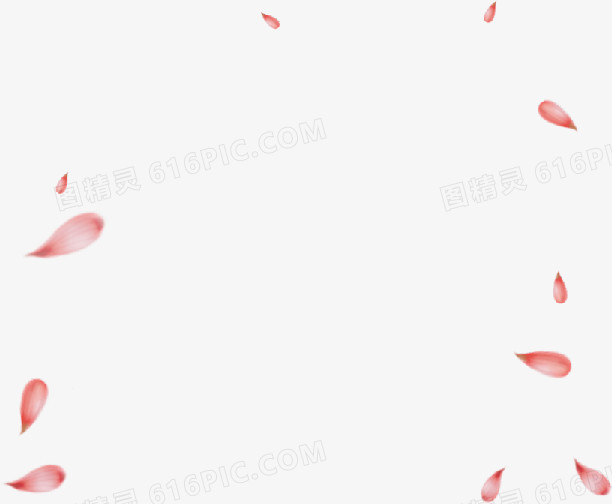 飘飞尖形花瓣