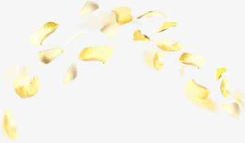 弧形排布金黄色树叶元素