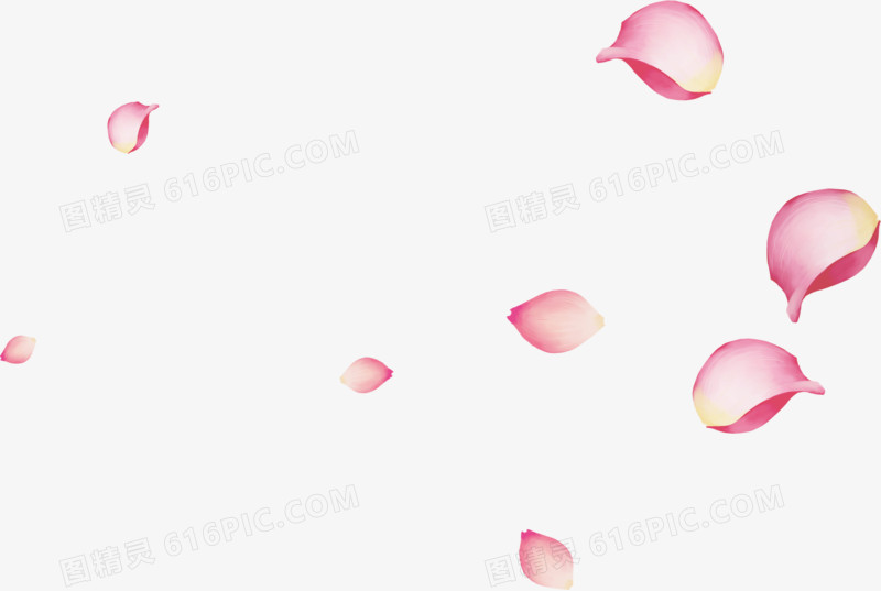 粉色可以创意花朵花瓣装饰