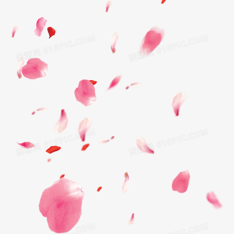 漂浮的樱花花瓣png免抠素材