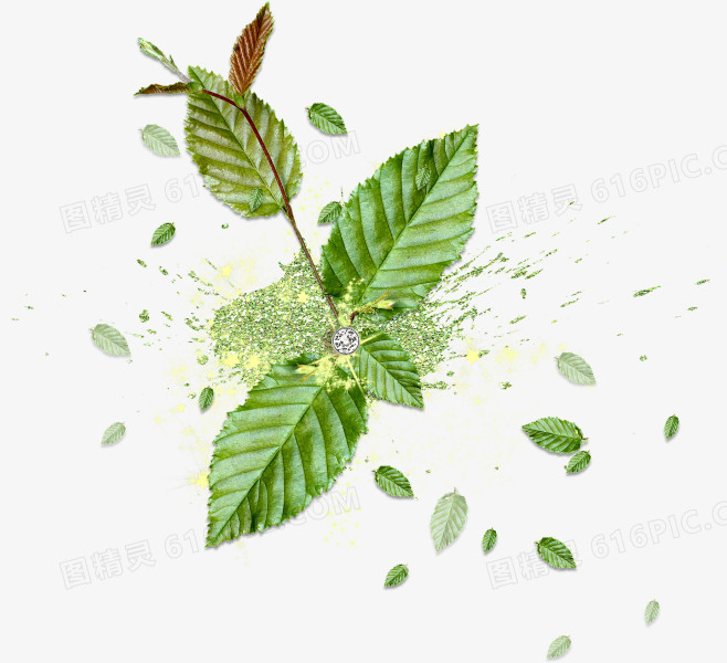 绿色树叶喷溅