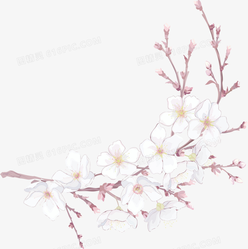 淡彩樱花背景矢量素材