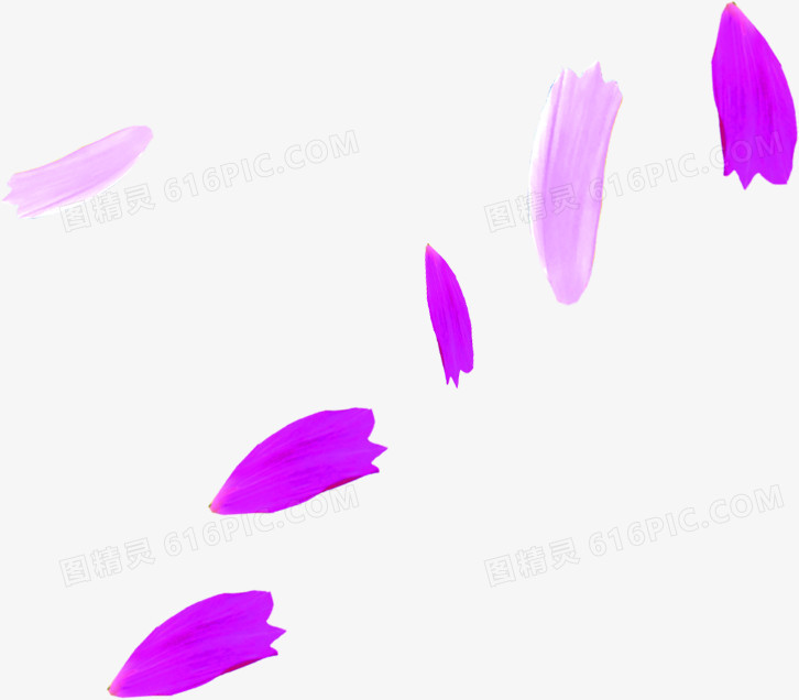 紫色抽象花瓣美景