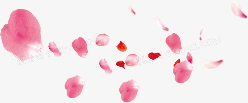 飘舞红色粉色玫瑰花瓣