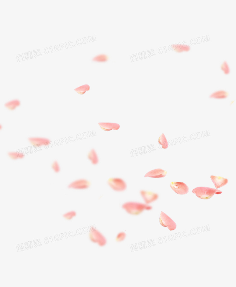 桃花花瓣节日鲜花飘落装饰粉红素材