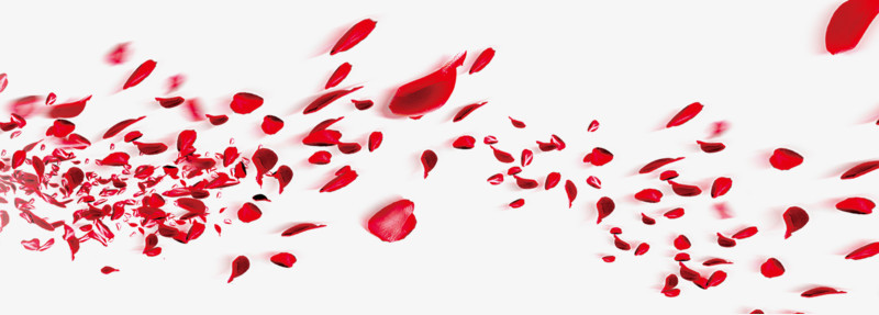 红色花瓣漂浮装饰