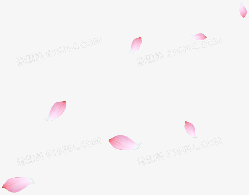 漂浮错落花瓣