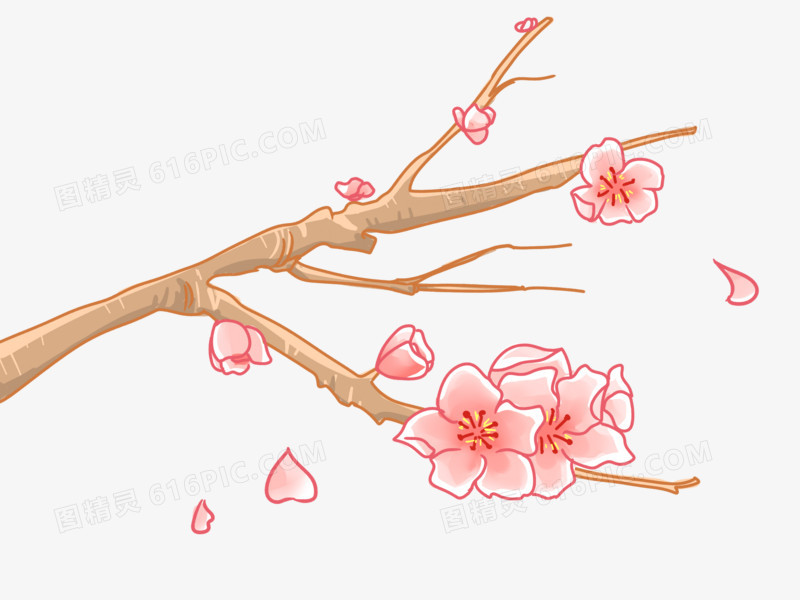 手绘植物樱花树枝花朵素材