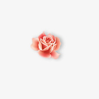 一小朵 粉红色玫瑰花
