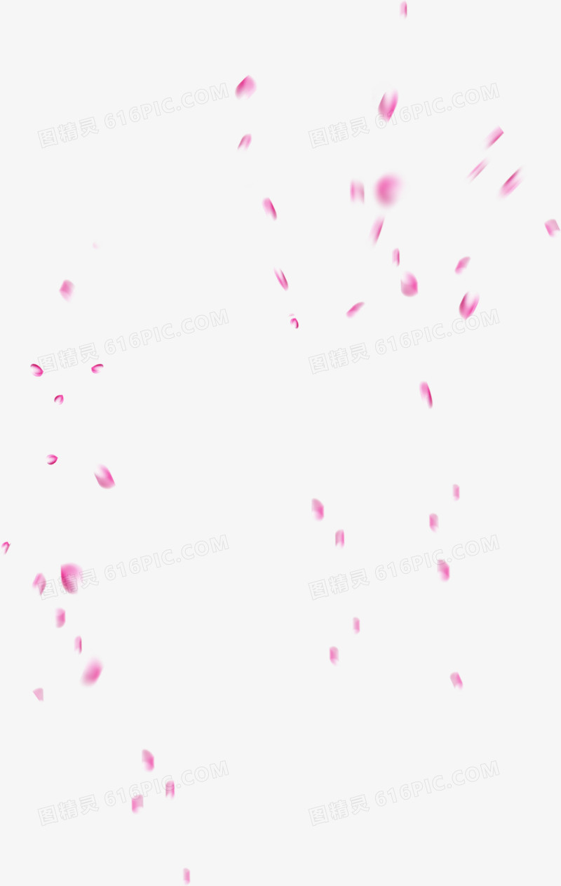 散落飞舞的粉色花瓣
