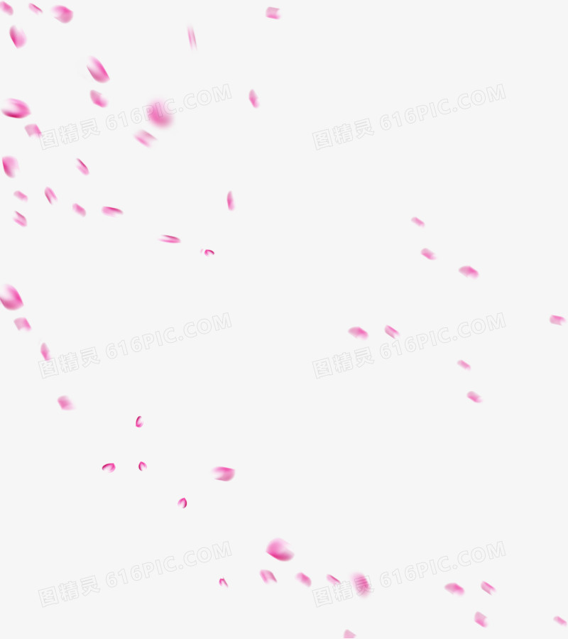 飘散的粉色花瓣