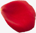 鲜艳红色玫瑰花瓣