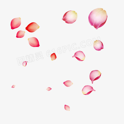 粉红色花瓣花朵素材