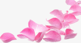 鲜花飘落装饰粉红素材背景图片