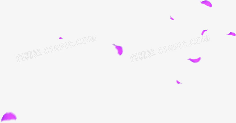 淡紫色凋落的紫色花瓣
