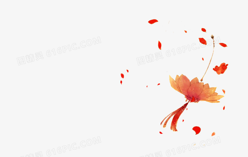 花开时光 漂浮花瓣