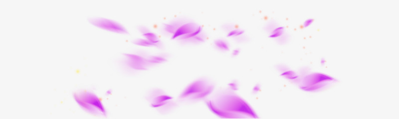 紫色唯美花瓣飘落