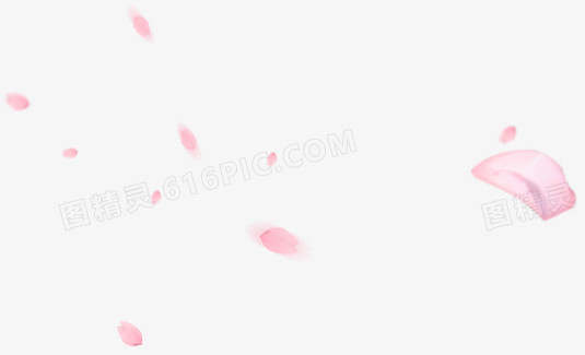 粉红花瓣不规则漂浮