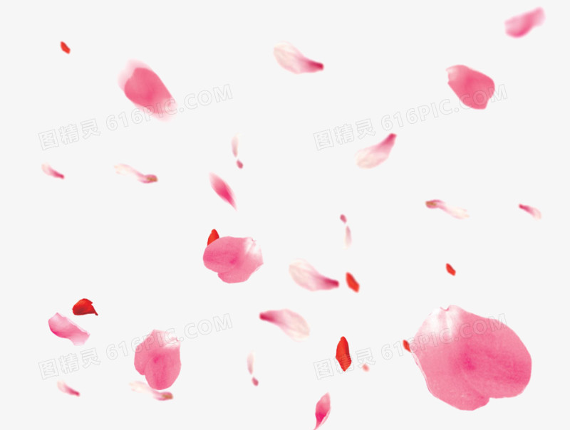 飞舞粉色红色花瓣