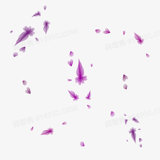 紫色花瓣飘落漂浮