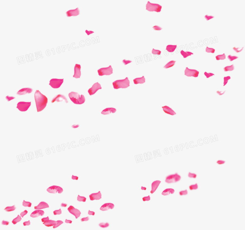 飘落的粉色花瓣叶片