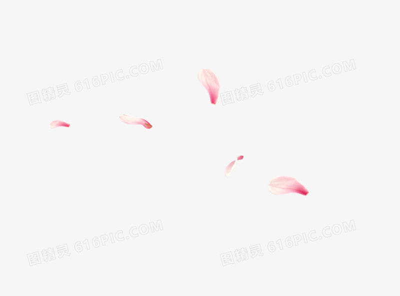漂浮花瓣