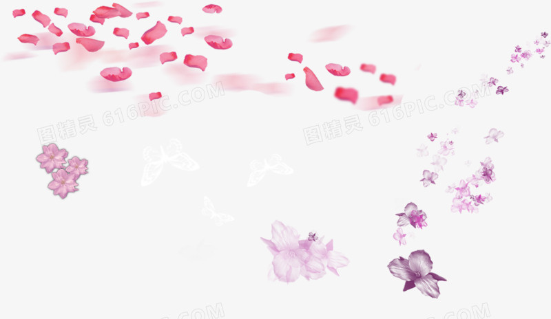粉色紫色花朵图片