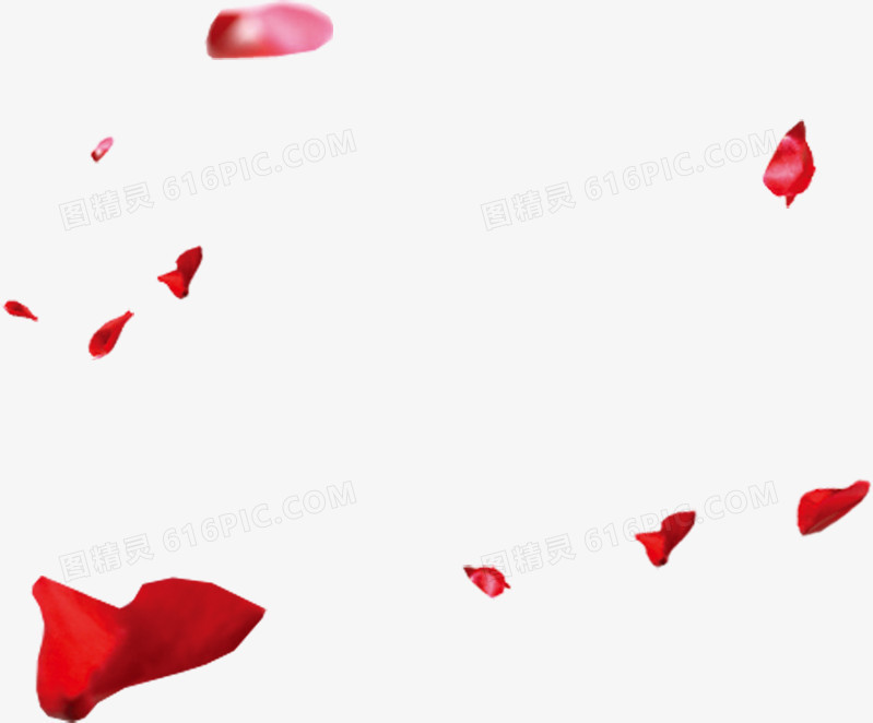 红色花瓣情人节