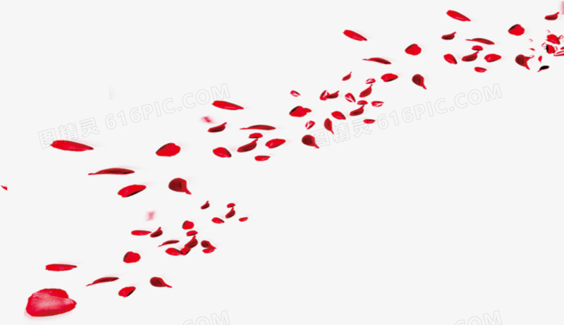 排列的红色花瓣七夕情人节海报背景