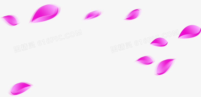飞舞粉色玫瑰花瓣