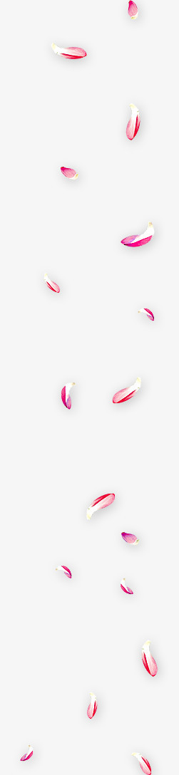 粉红花瓣漂浮飘落