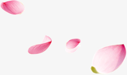 粉色花瓣