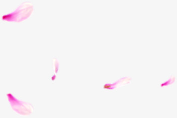 紫色漂浮散落花瓣底纹