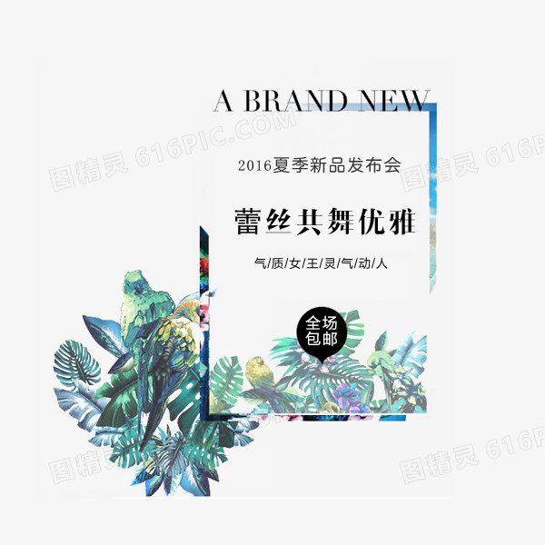 蕾丝共舞优雅