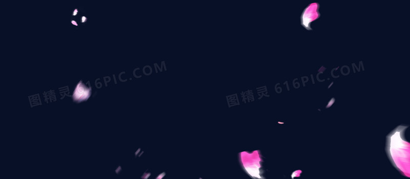 白色模糊花瓣 背景