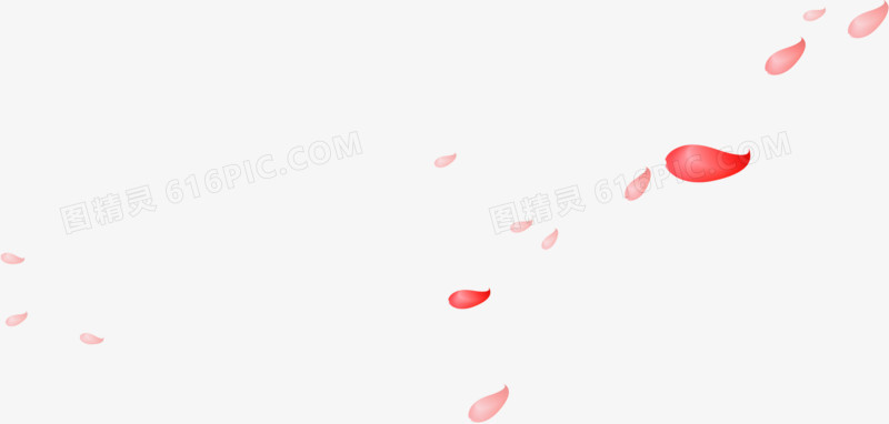 飘落花瓣情人节素材