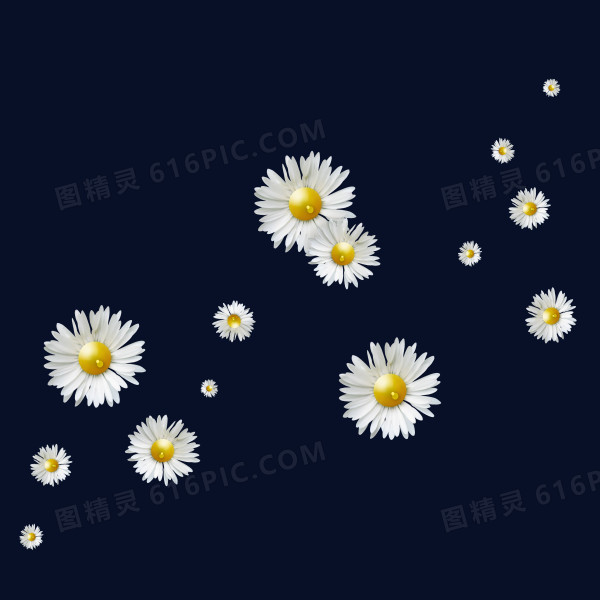 白色花朵漂浮