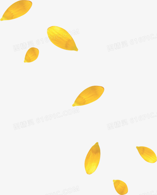黄色花瓣漂浮