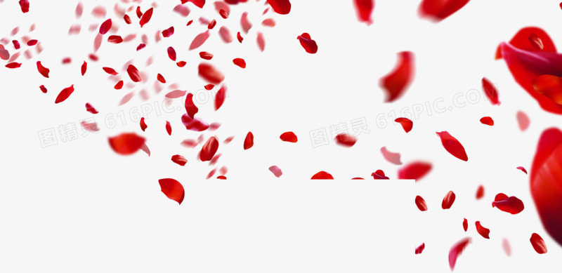 红色花瓣婚庆海报
